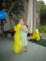 IMG 4091