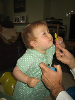 IMG 4101