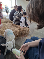 20250412 133656 (24129 visits) 20250412 133656