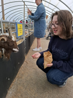 20250412 135850 (23498 visits) 20250412 135850