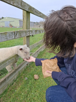 20250412 142003 (32219 visits) 20250412 142003