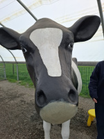 20250412 143107 (23828 visits) 20250412 143107